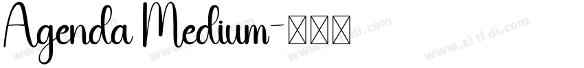 Agenda Medium字体转换